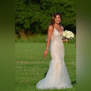 Cinderella wedding dress